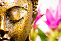cours de méditation